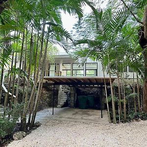 Coconut Grove Mid-Century Jungle Oasis Villa Miami Exterior photo