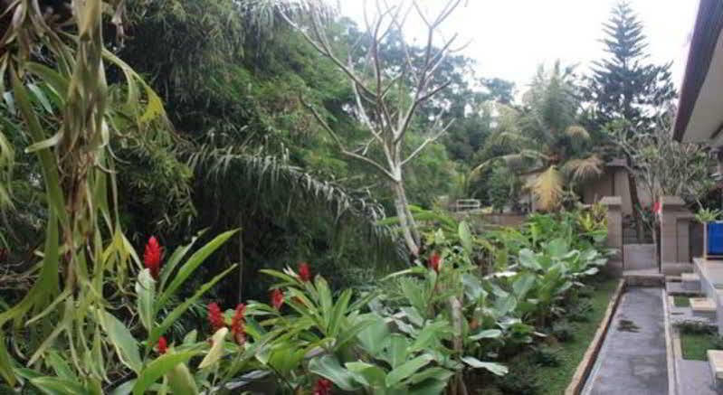 Citrus Tree Villas - Widia Ubud  Exterior photo