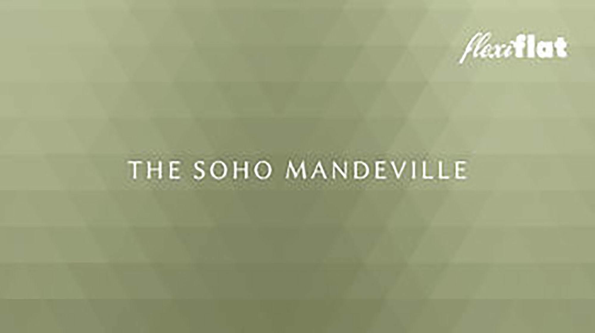 Flexiflat- The Soho Mandeville Hotel London Exterior photo
